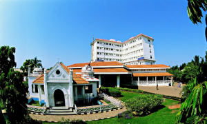 Narayana Institute of Cardiac Sciences