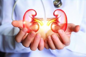 Everything you need to know about Kidney Transplant