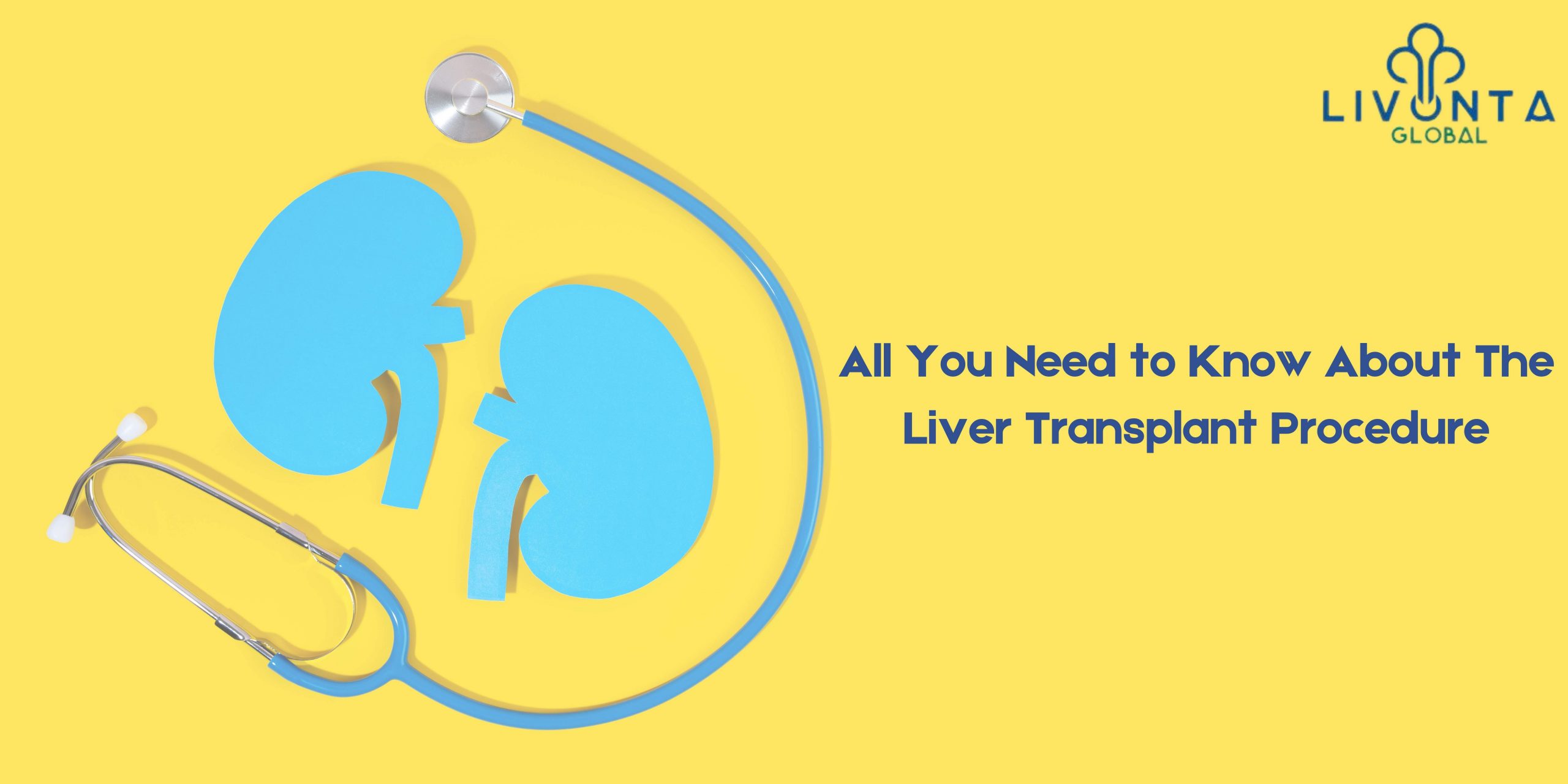 All You Need to Know About The Liver Transplant Procedure