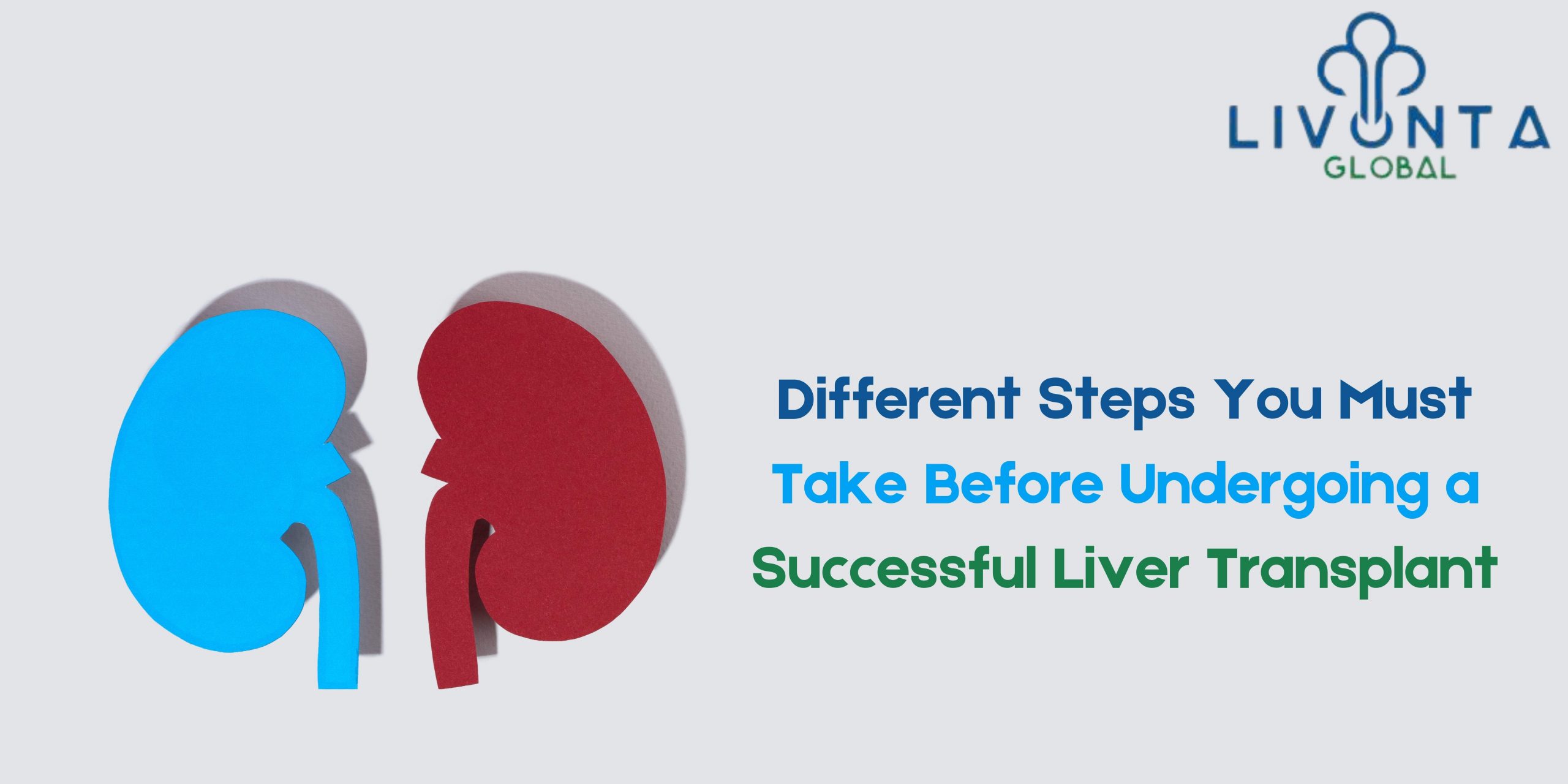 Different Steps You Must Take Before Undergoing a Successful Liver Transplant