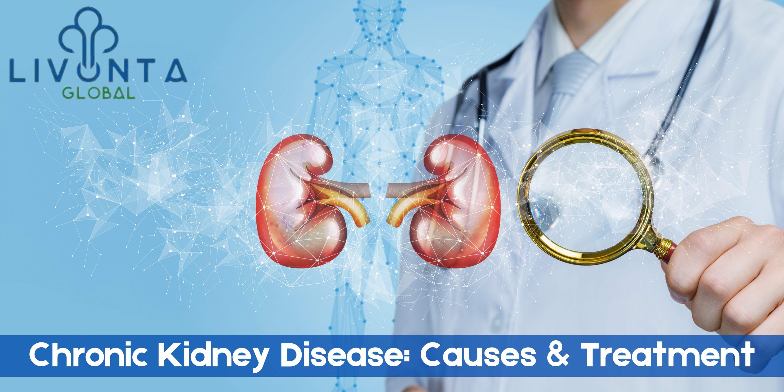 Chronic Kidney Disease: Causes & Treatment