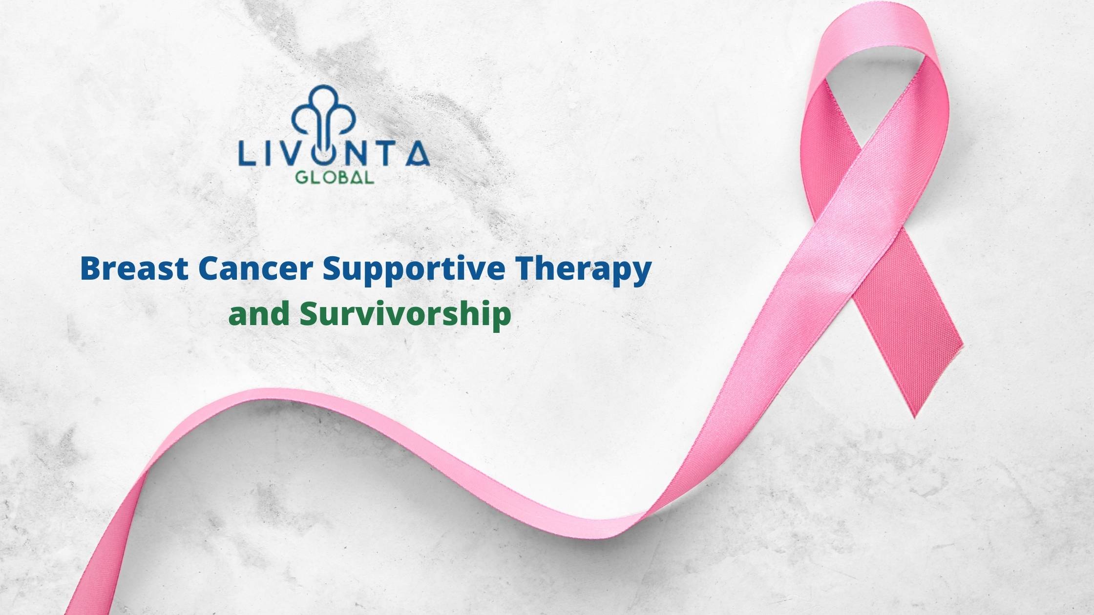 Breast Cancer Supportive Therapy and Survivorship