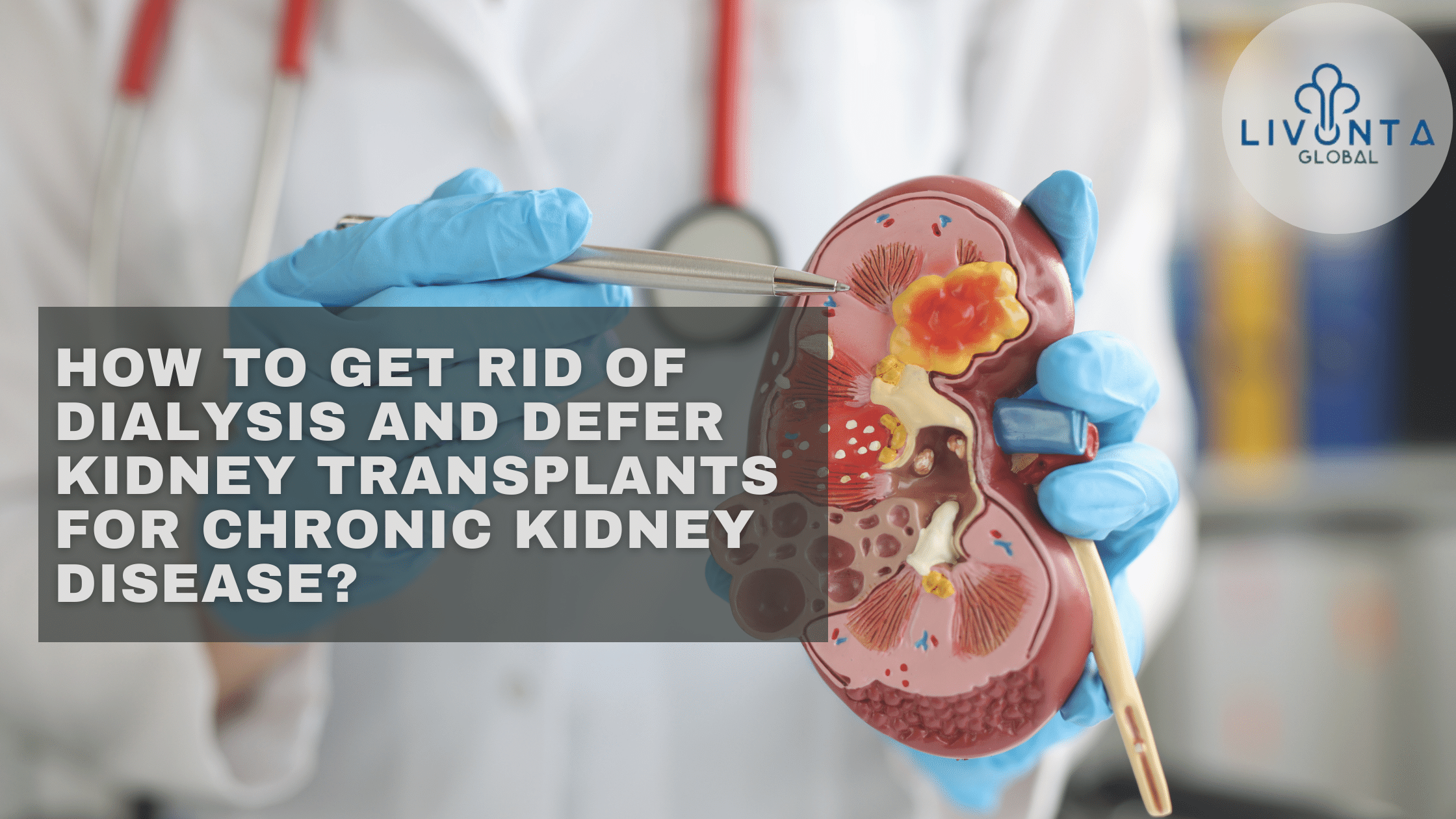 How To Get Rid Of Dialysis And Defer Kidney Transplants For Chronic Kidney Disease
