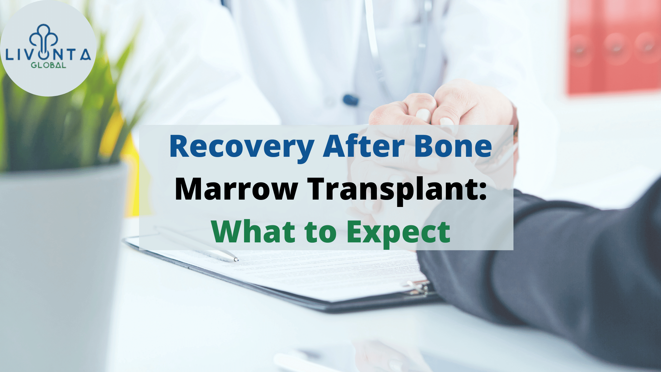 Recovery After Bone Marrow Transplant What to Expect