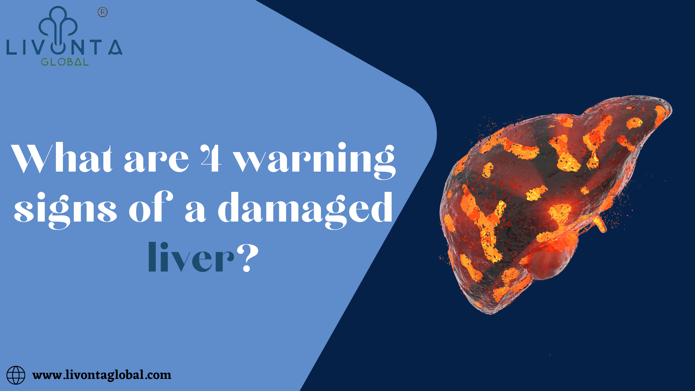 What are 4 warning signs of a damaged liver?