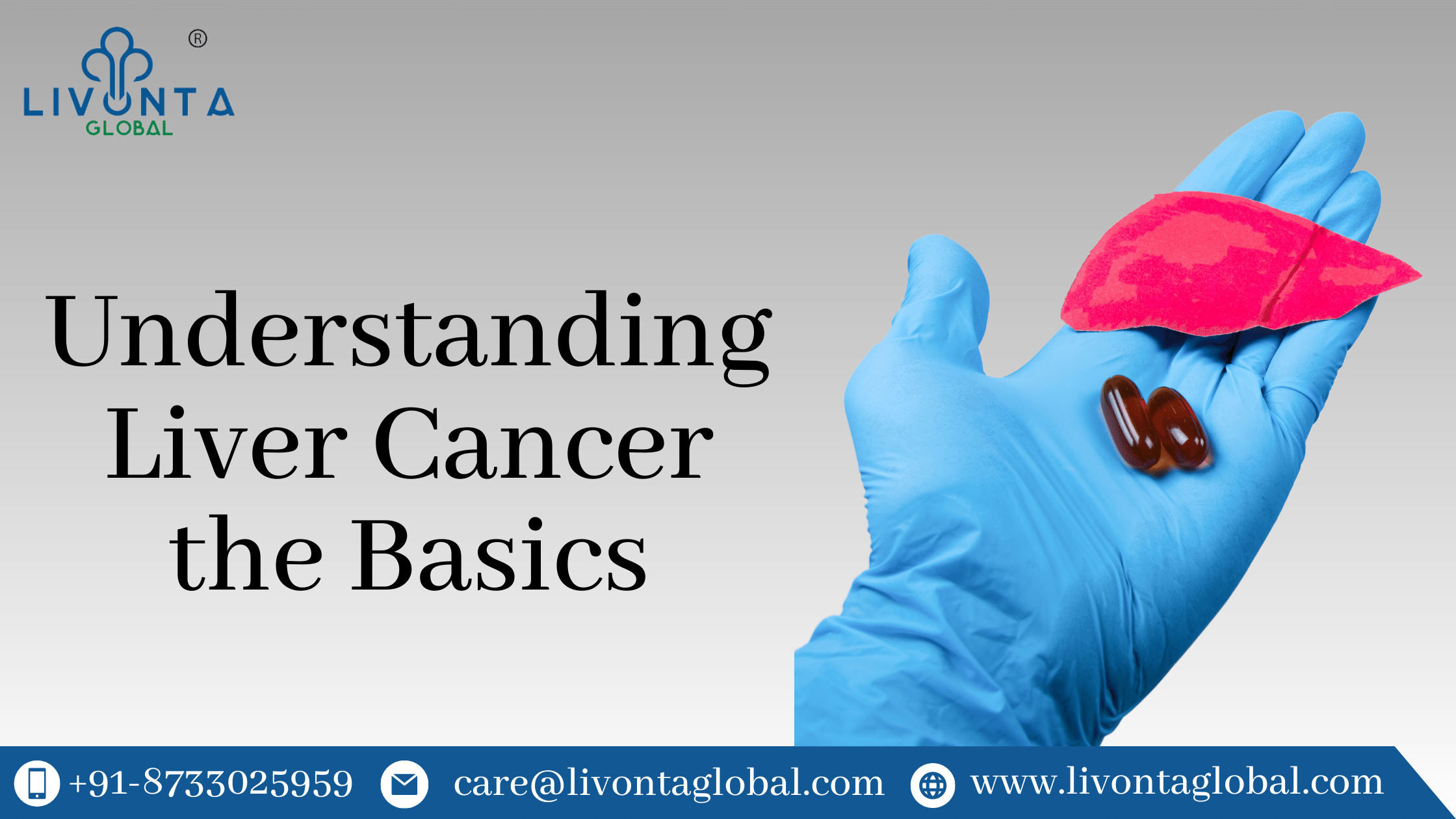 Understanding Liver Cancer the Basics
