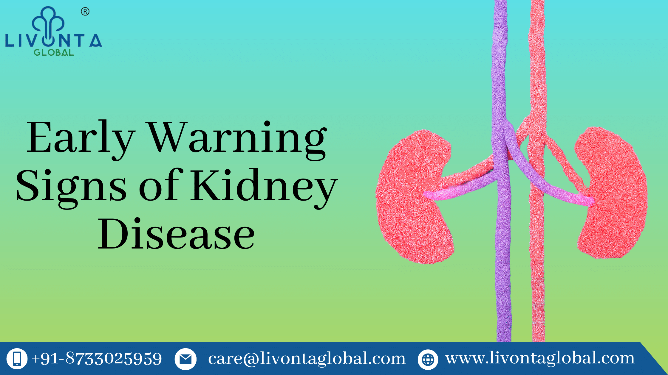 Early Warning Signs of Kidney Disease