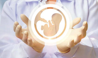 IVF & Fertility Treatments (Thailand)