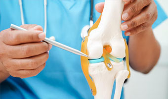 Hip Replacement  (India)