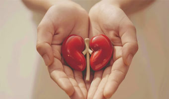 Organ Transplant (Kidney, Liver, Lung & heart– subject to laws) (India)