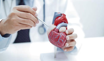 Cardiac Surgery (Bypass, Valve Replacement) (India)