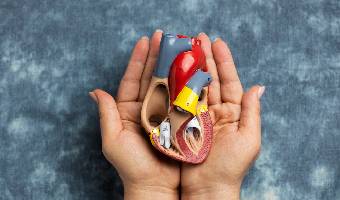 Organ Transplant (Kidney & Liver) (Egypt)