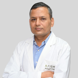 Dr. Rahul Naithani